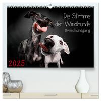 Die Stimme der Windhunde (hochwertiger Premium Wandkalender 2025 DIN A2 quer), Kunstdruck in Hochglanz