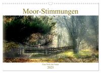 Moor-Stimmungen (Wandkalender 2025 DIN A3 quer), CALVENDO Monatskalender