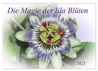 Die Magie der lila Blüten (Wandkalender 2025 DIN A3 quer), CALVENDO Monatskalender