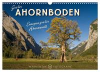 Großer Ahornboden - Europas großer Ahornwald (Wandkalender 2025 DIN A3 quer), CALVENDO Monatskalender