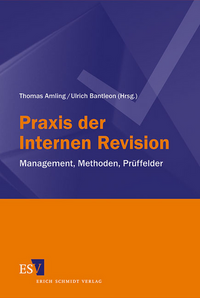 Praxis der Internen Revision