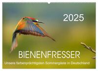 Bienenfresser, unsere farbenprächtigsten Sommergäste in Deutschland (Wandkalender 2025 DIN A2 quer), CALVENDO Monatskalender