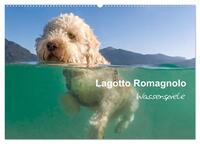 Lagotto Romagnolo - Wasserspiele (Wandkalender 2025 DIN A2 quer), CALVENDO Monatskalender