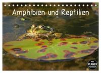 Amphibien und Reptilien (Tischkalender 2025 DIN A5 quer), CALVENDO Monatskalender