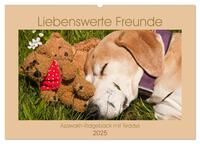 Liebenswerte Freunde - Azawakh-Ridgeback mit Teddys (Wandkalender 2025 DIN A2 quer), CALVENDO Monatskalender