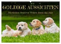 Goldige Aussichten - Mit Golden Retriever Welpen durch das Jahr (Wandkalender 2025 DIN A2 quer), CALVENDO Monatskalender