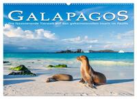 Die faszinierende Tierwelt der Galapagos-Inseln (Wandkalender 2025 DIN A2 quer), CALVENDO Monatskalender