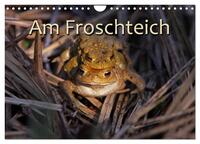 Am Froschteich (Wandkalender 2025 DIN A4 quer), CALVENDO Monatskalender