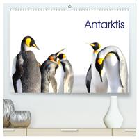 Antarktis - viaje.ch (hochwertiger Premium Wandkalender 2026 DIN A2 quer), Kunstdruck in Hochglanz