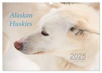 Alaskan Huskies (Wandkalender 2025 DIN A3 quer), CALVENDO Monatskalender