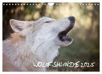 Wolfshunde 2025 (Wandkalender 2025 DIN A4 quer), CALVENDO Monatskalender