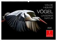 Wilde Heimat - Vögel unserer Natur (Wandkalender 2025 DIN A2 quer), CALVENDO Monatskalender