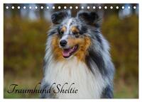 Traumhund Sheltie (Tischkalender 2025 DIN A5 quer), CALVENDO Monatskalender