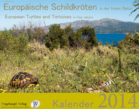 Europäische Schildkröten in der freien Natur, Kalender 2014