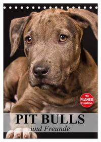 Pit Bulls und Freunde (Tischkalender 2025 DIN A5 hoch), CALVENDO Monatskalender