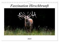 Faszination Hirschbrunft (Wandkalender 2025 DIN A4 quer), CALVENDO Monatskalender