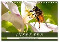 INSEKTEN - Makrofotografie in freier Natur (Wandkalender 2025 DIN A4 quer), CALVENDO Monatskalender