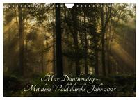 Max Dauthendey - Mit dem Wald durchs Jahr (Wandkalender 2025 DIN A4 quer), CALVENDO Monatskalender