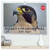 Falken und Greifvögel - Edle Jäger (hochwertiger Premium Wandkalender 2025 DIN A2 quer), Kunstdruck in Hochglanz