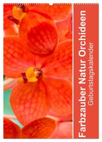 Farbzauber Natur Orchideen - Geburtstagskalender (Wandkalender 2025 DIN A2 hoch), CALVENDO Monatskalender