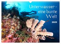 Unterwasser - eine bunte Welt (Wandkalender 2025 DIN A3 quer), CALVENDO Monatskalender