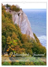 Im Nationalpark Jasmund - Naturwunder auf der Ostseeinsel Rügen (Wandkalender 2025 DIN A3 hoch), CALVENDO Monatskalender