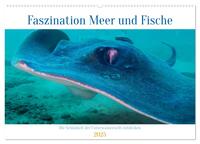 Faszination Meer und Fische (Wandkalender 2025 DIN A2 quer), CALVENDO Monatskalender