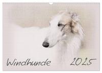 Windhunde 2025 (Wandkalender 2025 DIN A3 quer), CALVENDO Monatskalender