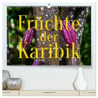 Früchte der Karibik (hochwertiger Premium Wandkalender 2025 DIN A2 quer), Kunstdruck in Hochglanz