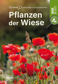 Pflanzen der Wiese