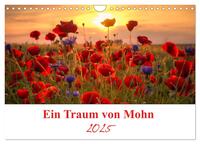 Ein Traum von Mohn (Wandkalender 2025 DIN A4 quer), CALVENDO Monatskalender