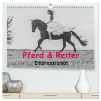 Pferd & Reiter - Impressionen (hochwertiger Premium Wandkalender 2025 DIN A2 quer), Kunstdruck in Hochglanz