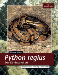 Python regius