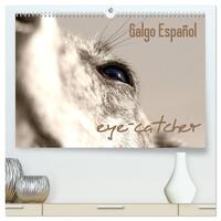 Galgo eye-catcher (hochwertiger Premium Wandkalender 2025 DIN A2 quer), Kunstdruck in Hochglanz