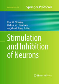 Stimulation and Inhibition of Neurons