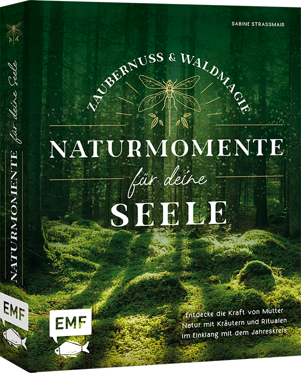 Zaubernuss und Waldmagie – Naturmomente für deine Seele