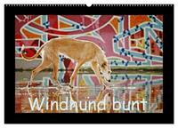 Windhund bunt (Wandkalender 2025 DIN A2 quer), CALVENDO Monatskalender