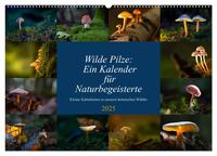 Wilde Pilze: Ein Kalender für Naturbegeisterte (Wandkalender 2025 DIN A2 quer), CALVENDO Monatskalender