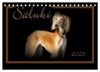 Saluki 2025 (Tischkalender 2025 DIN A5 quer), CALVENDO Monatskalender