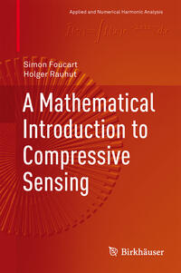 A Mathematical Introduction to Compressive Sensing