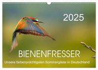 Bienenfresser, unsere farbenprächtigsten Sommergäste in Deutschland (Wandkalender 2025 DIN A3 quer), CALVENDO Monatskalender