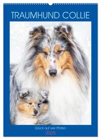 Traumhund Collie - Glück auf vier Pfoten (Wandkalender 2025 DIN A2 hoch), CALVENDO Monatskalender