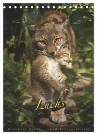 Luchs (Tischkalender 2025 DIN A5 hoch), CALVENDO Monatskalender