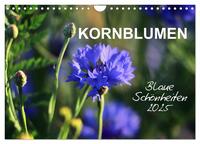 Kornblumen - Blaue Schönheiten (Wandkalender 2025 DIN A4 quer), CALVENDO Monatskalender