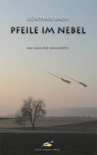 Pfeile im Nebel