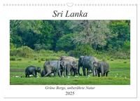 Sri Lanka, Grüne Berge - unberührte Natur (Wandkalender 2025 DIN A3 quer), CALVENDO Monatskalender