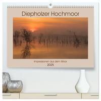 Diepholzer Hochmoor (hochwertiger Premium Wandkalender 2025 DIN A2 quer), Kunstdruck in Hochglanz