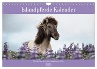 Islandpferde Kalender (Wandkalender 2025 DIN A4 quer), CALVENDO Monatskalender