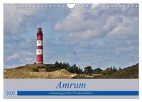 Amrum - stimmungsvolle Nordseebilder (Wandkalender 2025 DIN A4 quer), CALVENDO Monatskalender