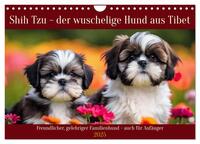 Shih Tzu - der wuschelige Hund aus Tibet (Wandkalender 2025 DIN A4 quer), CALVENDO Monatskalender